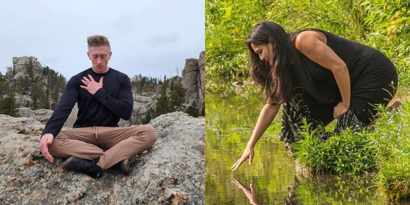 The Longevity Series